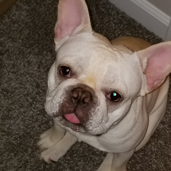 Not For Sale - Picture 3 of 4